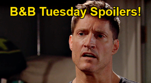 The Bold And The Beautiful Spoilers Tuesday August Sheila S Cash