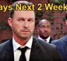 https://www.celebdirtylaundry.com/2024/days-of-our-lives-next-2-weeks-xander-fionas-reunion-theresas-worst-nightmare-and-jacks-surprise/