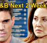 https://www.celebdirtylaundry.com/2024/the-bold-and-the-beautiful-next-2-weeks-sheilas-legal-crisis-missing-evidence-steffy-warns-hope-and-liam-rocks-the-boat/