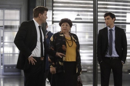 Bones Season 8 Episode 12 “The Corpse on the Canopy” Recap 01/21/13