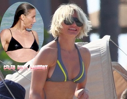 Did Cameron Diaz Get Her Boobs Made Bigger? (Photo)