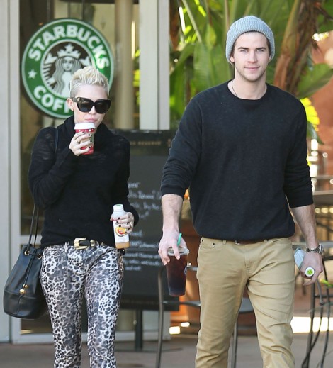 Miley Cyrus And Liam Hemsworth Wedding On Hold - Couple Worried About Quickie Divorce 0410