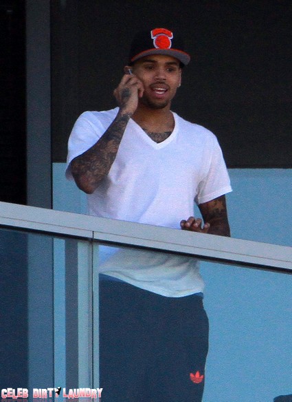 Stop The Violence - Why Chris Brown Attended Rihanna's Birthday Bash