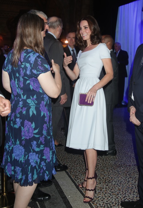 Kate Middleton Debuts Sassier, Sexier Image Breaks With Royal Tradition