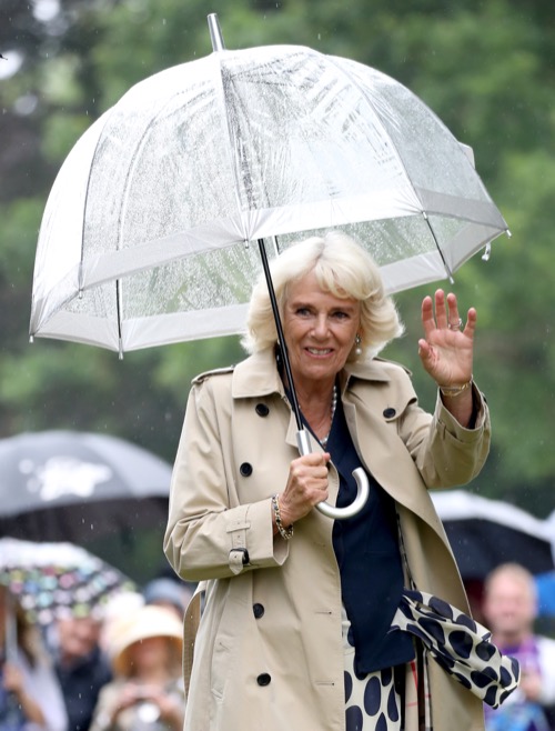 Camilla Parker-Bowles In Hiding As Princess Diana's 20th Death Anniversary Looms