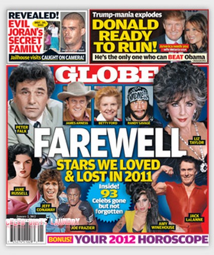 The Stars We Loved & Lost In 2011 (Photo)