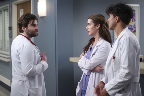 Grey's anatomy season 14 episode sales 20 full episode