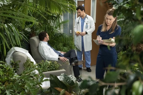 Grey's Anatomy Recap, Season 19 Episode 18: 'Ready to Run