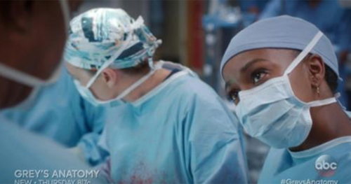 Grey’s Anatomy Recap 11/10/16: Season 13 Episode 8 "The Room Where It Happens"