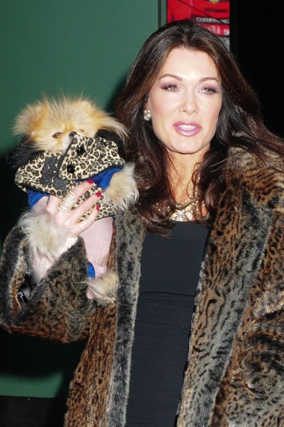 Lisa Vanderpump: Dancing With The Stars Gig Turning Housewives Against Her! 0227