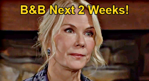 The Bold And The Beautiful Next 2 Weeks: Hope & Carter's Power Trip ...