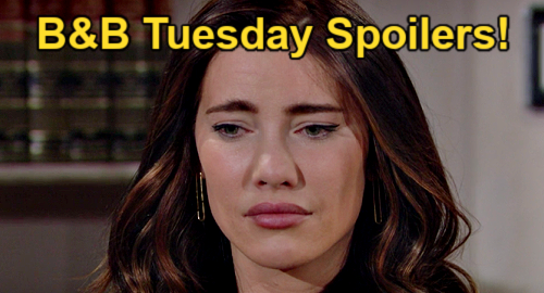 The Bold and the Beautiful Spoilers: Tuesday, January 10 – Evidence ...