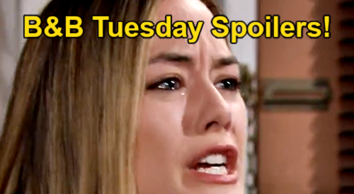 The Bold And The Beautiful Spoilers Tuesday October 10 Raging Hope