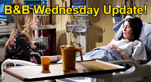 The Bold And The Beautiful Spoilers: Wednesday, April 13 Update ...