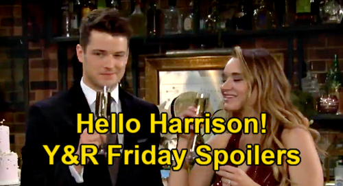The Young And The Restless Spoilers Friday May 14 Kyle Faces Harrison At Engagement Bash Sharon Decides Marriage Fate Celeb Dirty Laundry