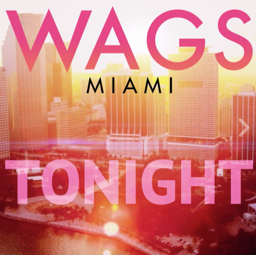 WAGS Miami Premiere Recap 8/20/17: Season 2 Episode 1 "Bride Wars"