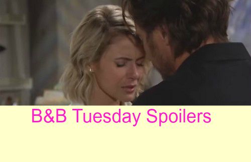 The Bold And The Beautiful (B&B) Spoilers: Brooke's Blunder Blows It ...