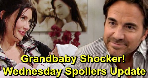 The Bold and the Beautiful Spoilers: Wednesday, January 30 Update ...