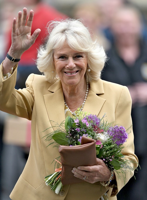 Camilla Parker-Bowles, Prince Charles Divorce Rumors: Cheating Camilla Takes Husband For Millions, Threatens Tell-All?