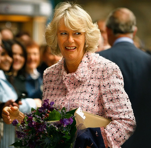 Camilla Parker-Bowles Humiliated in Cringe-worthy Clip: Forced to Knight Drunk Farmer