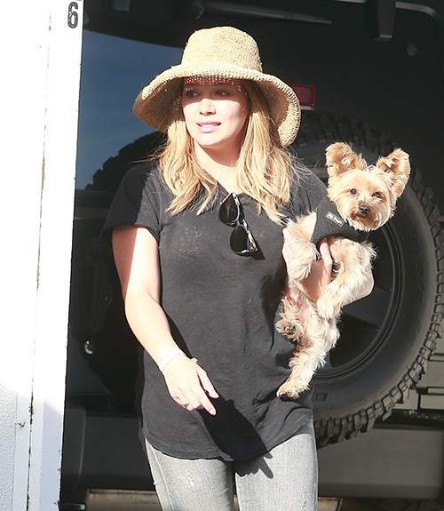 Hilary Duff Struggles To Slim Down Despite Brutal Exercise And Diet Regimen?