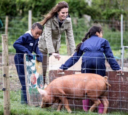 kate-middleton-farm