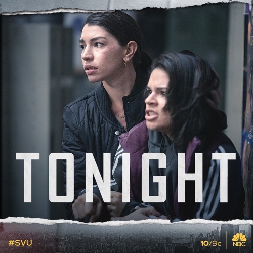 Law And Order Svu Season 13 Episode 6 Recap