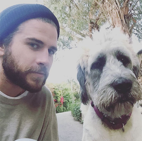 Liam Hemsworth And Miley Cyrus Not Engaged: Liam Reveals Truth In Interview, Couple's Second Breakup Looms?