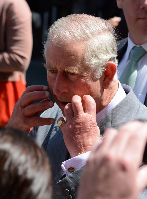 Camilla Parker-Bowles Disgusted After Prince Charles Australian Groping Scandal?