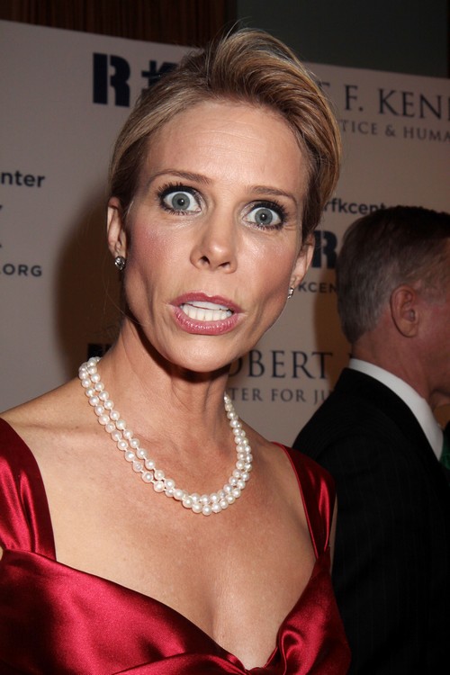 Cheryl Hines 'Crazy' to Marry Robert Kennedy Jr According to Friends, New Book