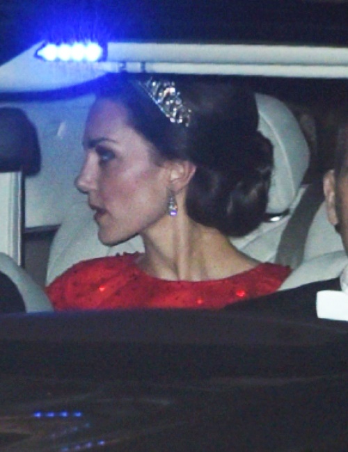 Camilla Parker Bowles Disgusted: Kate Middleton Wears Princess Diana’s Tiara At Ambassador’s Event