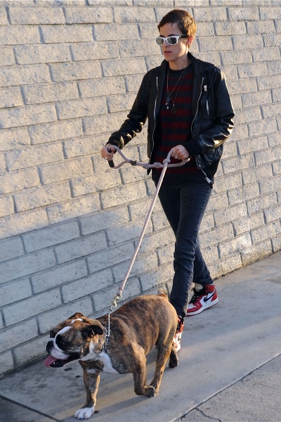 Samantha Ronson Sued For 1 Million Because of her DOG! - Maybe Linday will help?