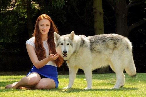 Game of Thrones Season 7 Spoiler: Sophie Turner Accidentally Reveals Sansa Stark's Fate