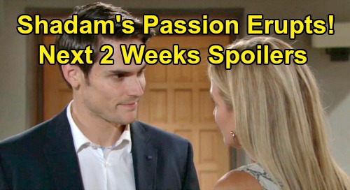 The Young And The Restless Spoilers Next 2 Weeks: Sharon And Adam's ...